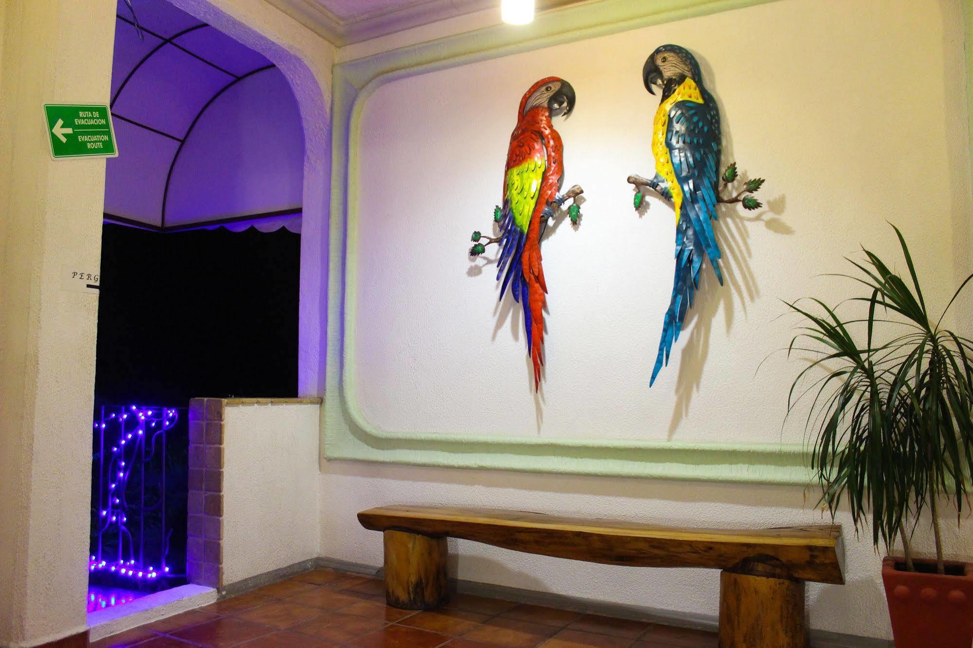 Hotel Careyes Puerto Escondido Puerto Escondido  Εξωτερικό φωτογραφία